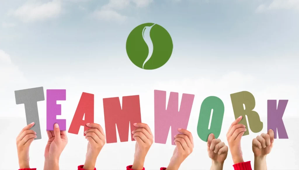 Teamwork